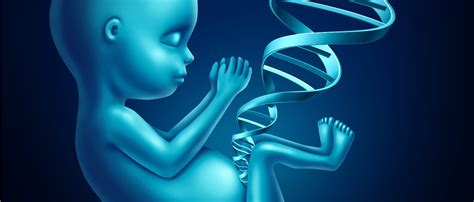 علم الوراثة في الانسان